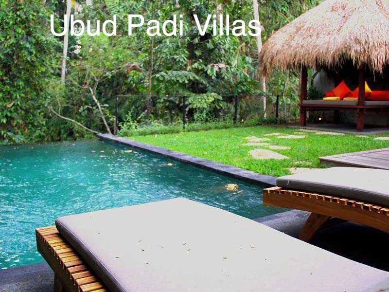 hotel ubud padi villas