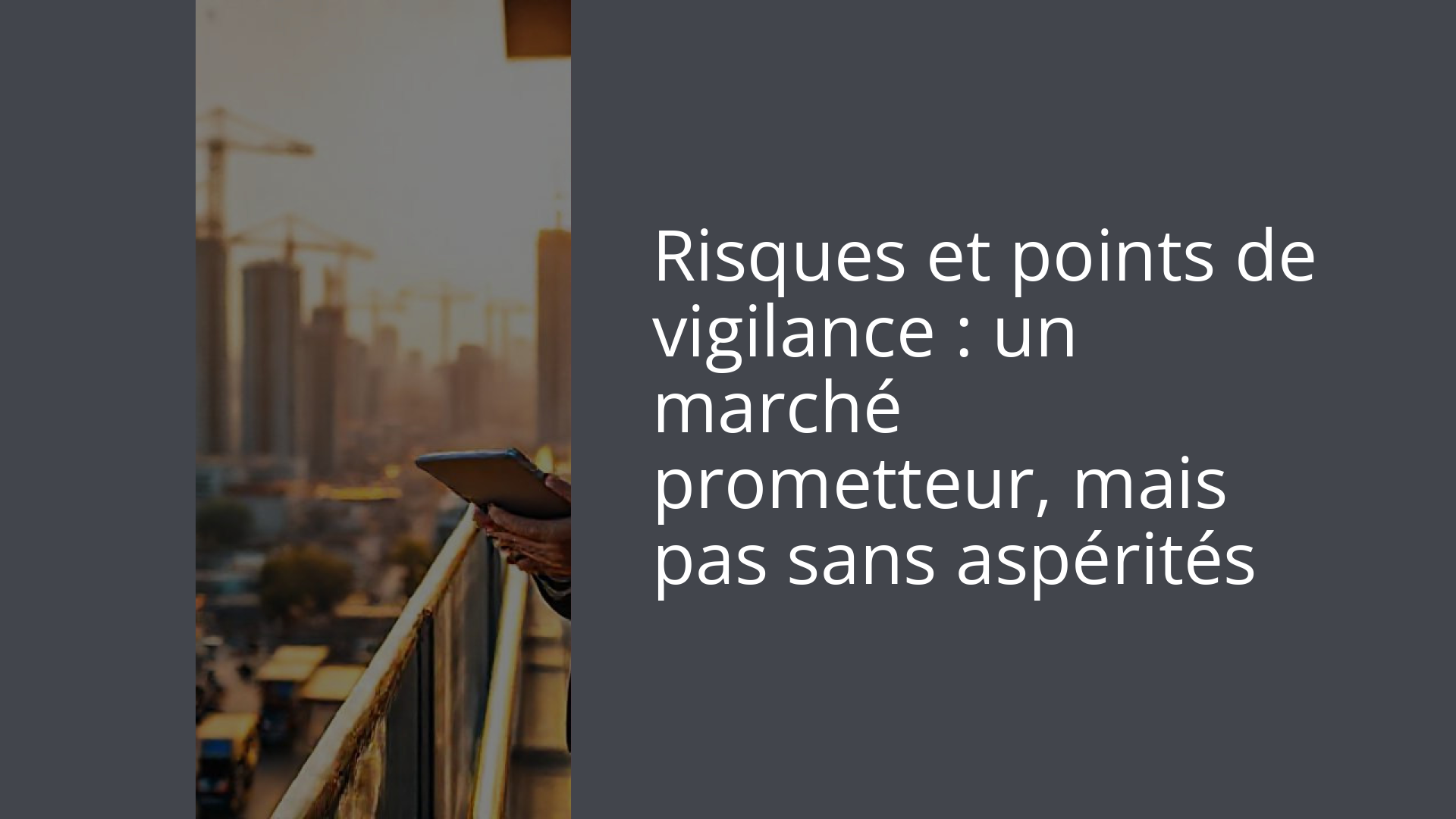 Risques et points de vigilance : un marché prometteur, mais pas sans aspérités