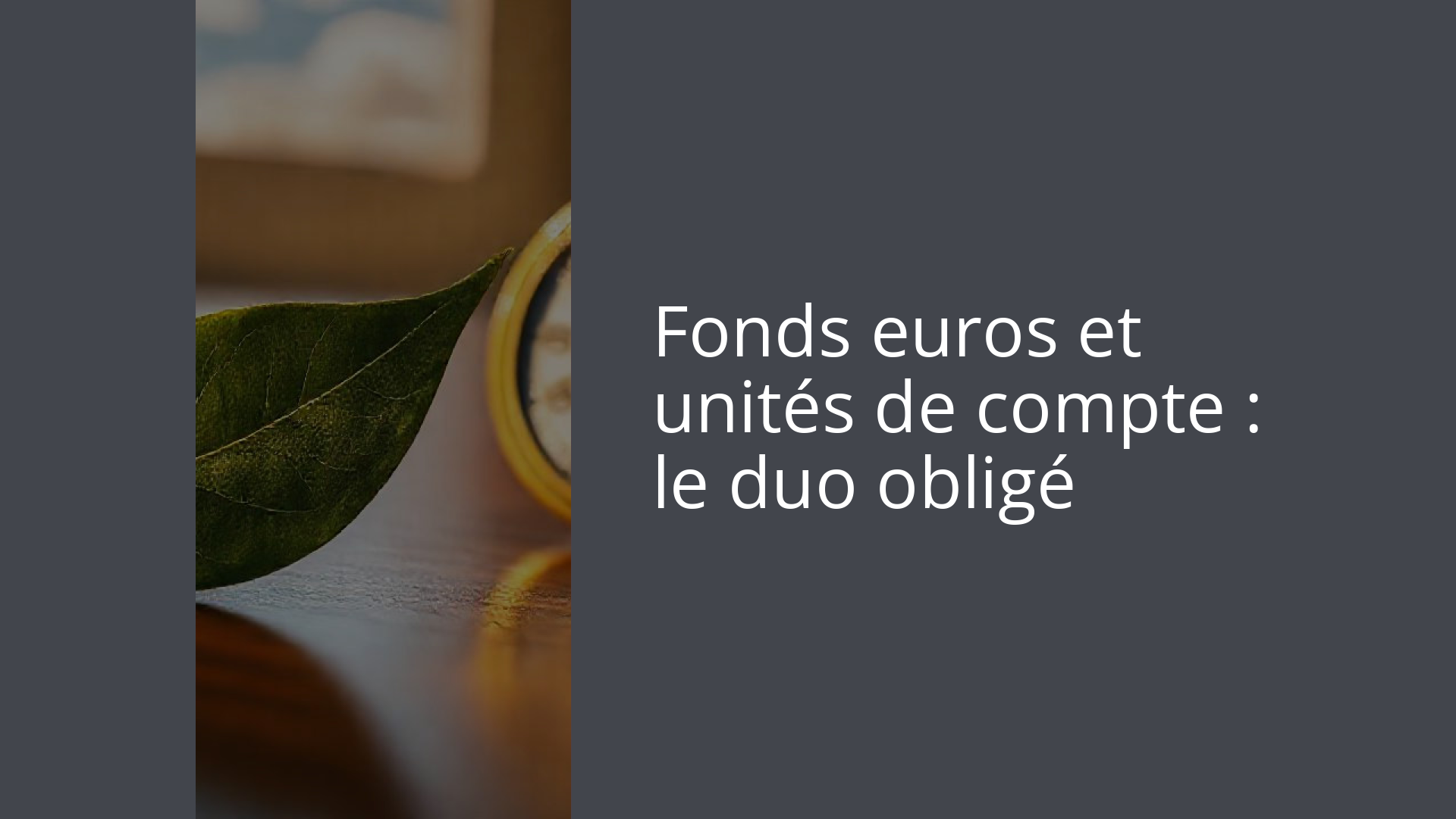Fonds euros et unités de compte : le duo obligé