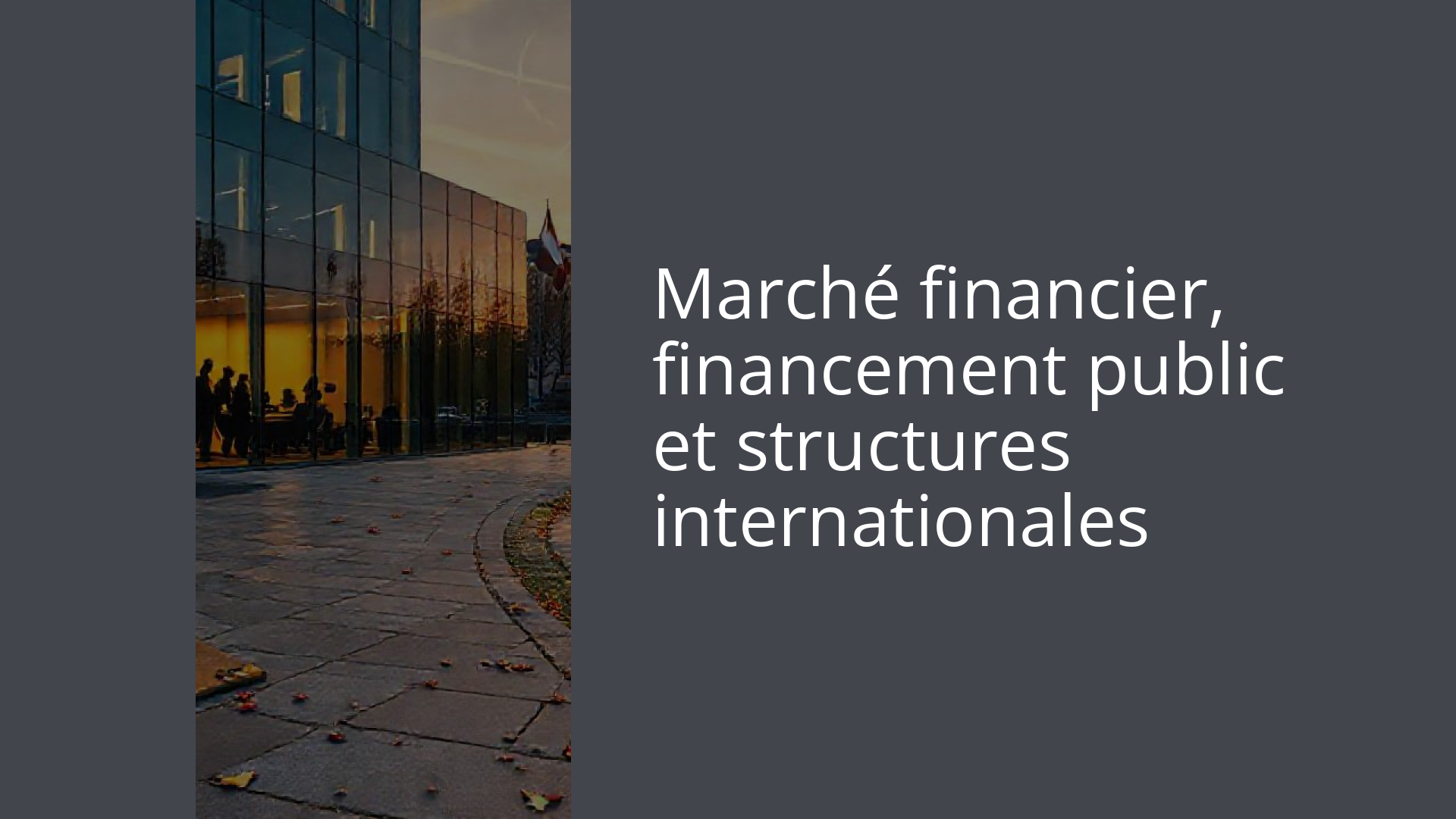Marché financier, financement public et structures internationales