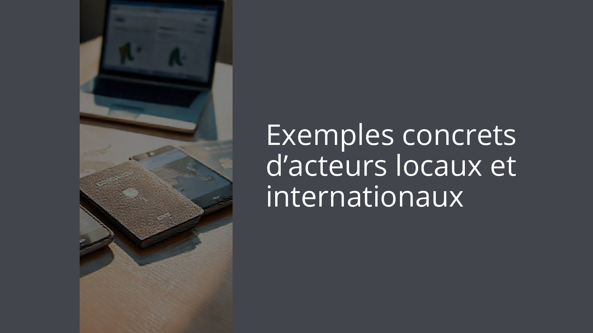 Exemples concrets d’acteurs locaux et internationaux