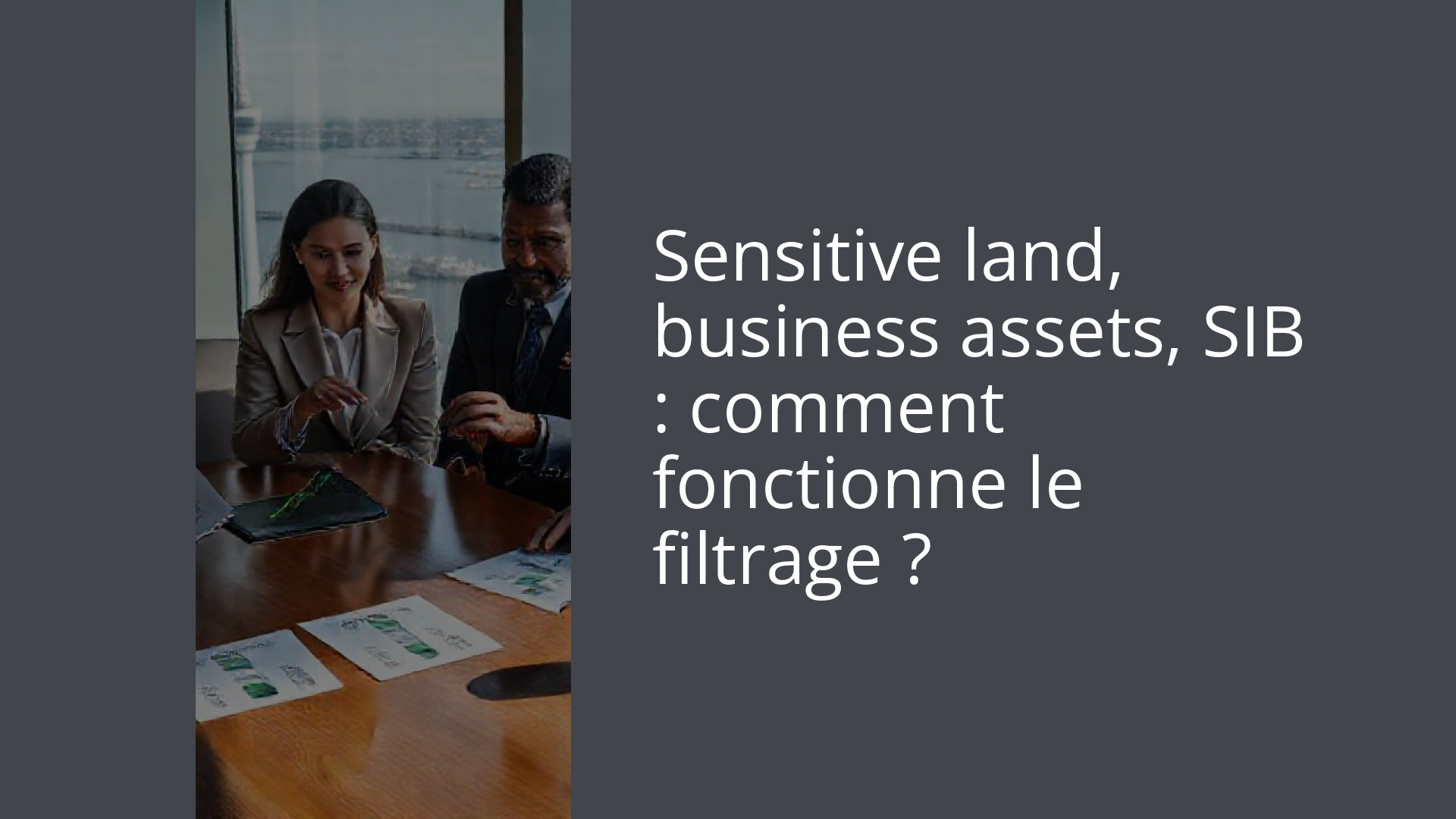 Sensitive land, business assets, SIB : comment fonctionne le filtrage ?