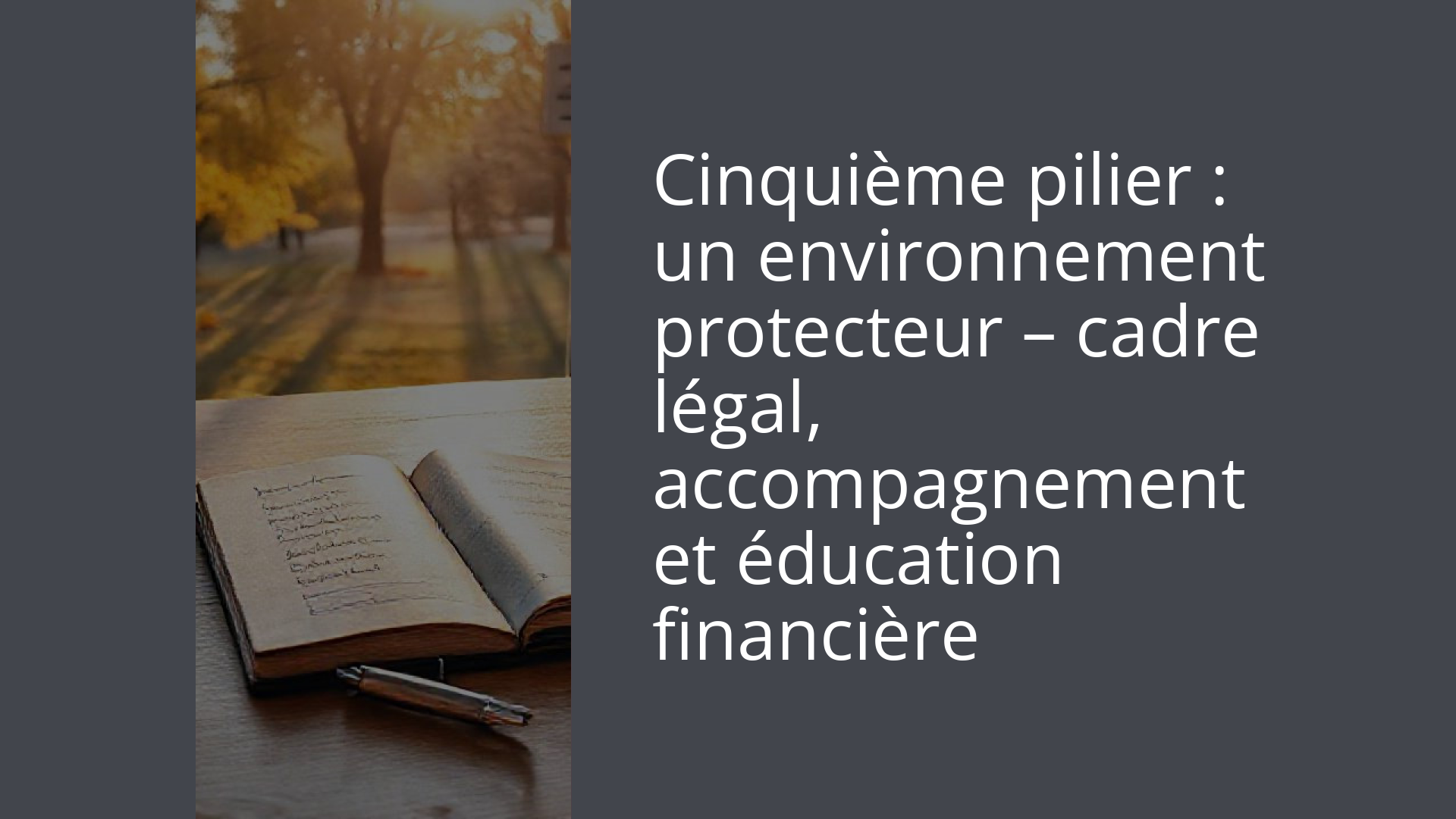 Cinquième pilier : un environnement protecteur – cadre légal, accompagnement et éducation financière