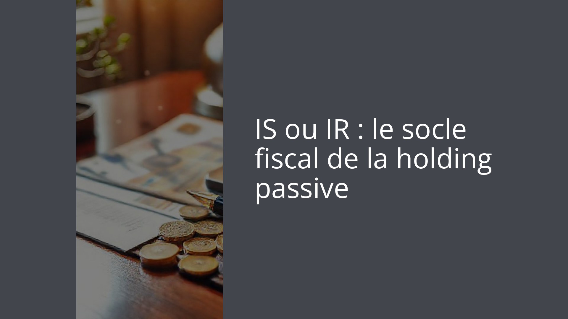 IS ou IR : le socle fiscal de la holding passive