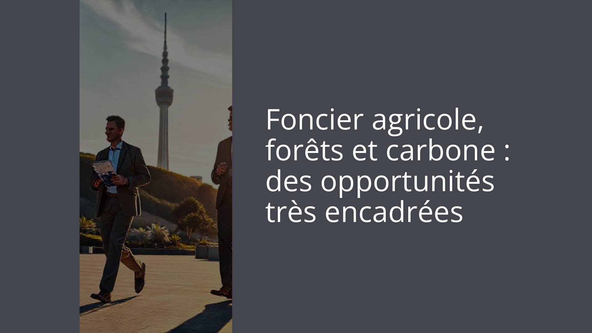Foncier agricole, forêts et carbone : des opportunités très encadrées