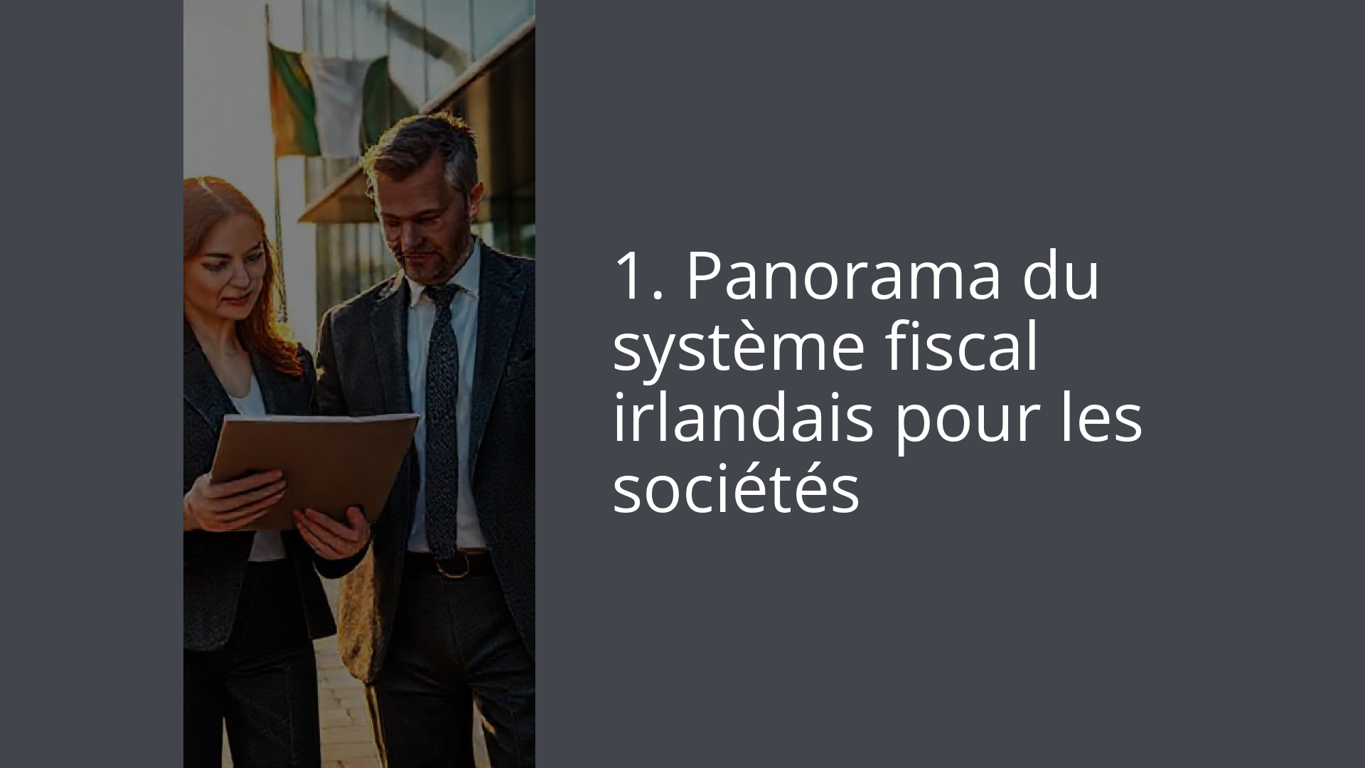 1. Panorama du système fiscal irlandais pour les sociétés