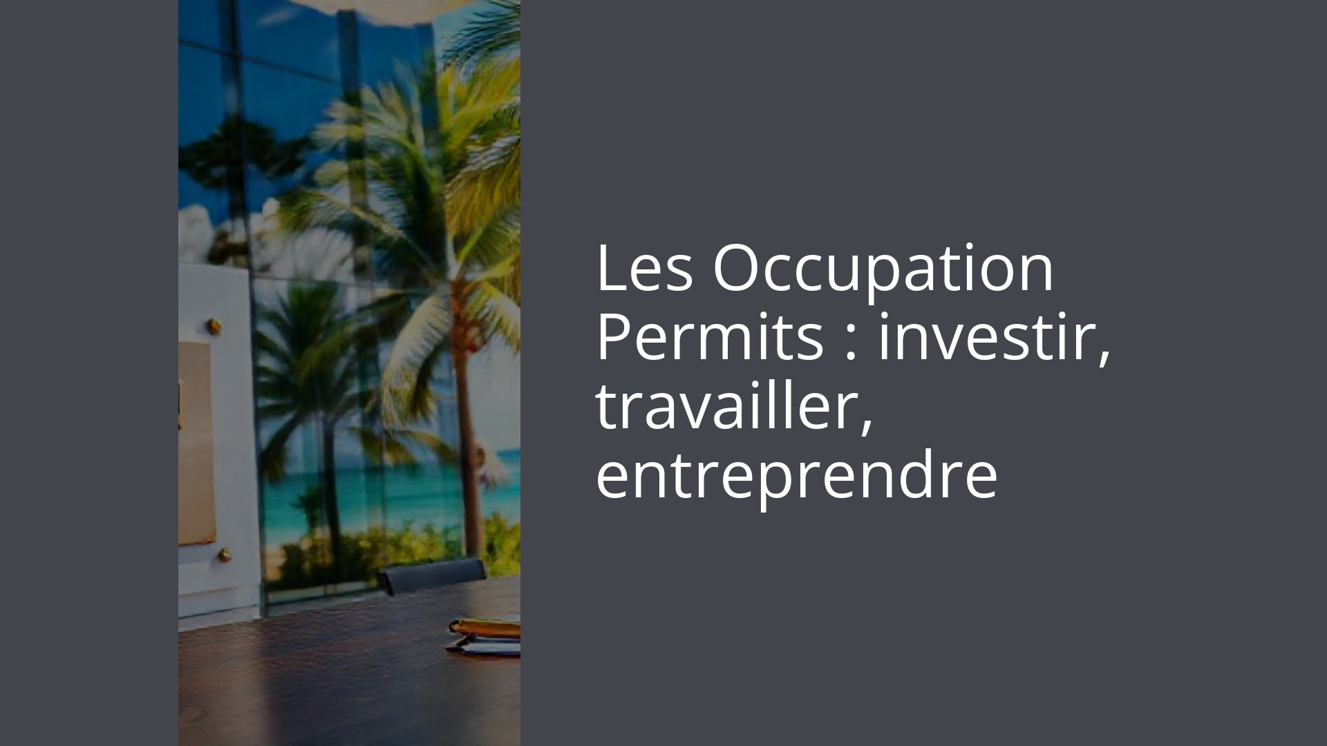 Les Occupation Permits : investir, travailler, entreprendre