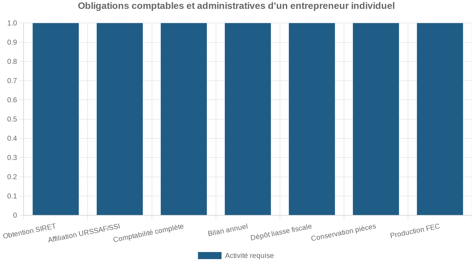 Obligations comptables et administratives d'un entrepreneur individuel