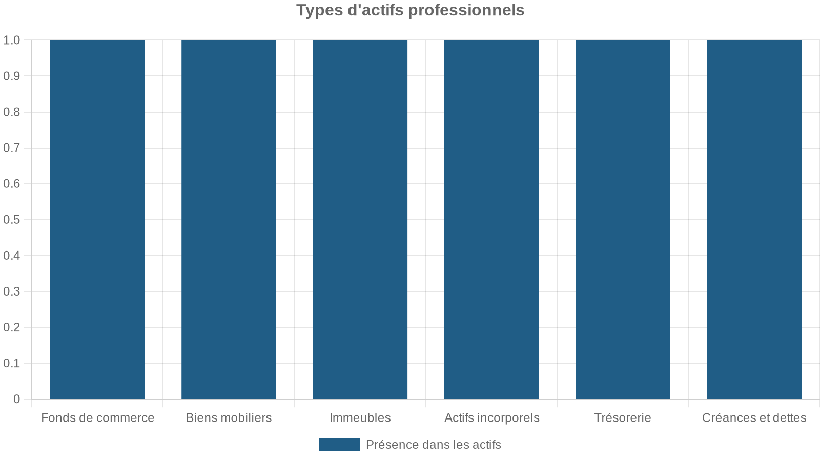 Types d'actifs professionnels