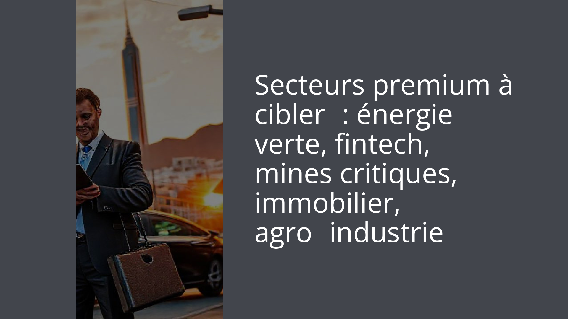 Secteurs premium à cibler : énergie verte, fintech, mines critiques, immobilier, agro‑industrie