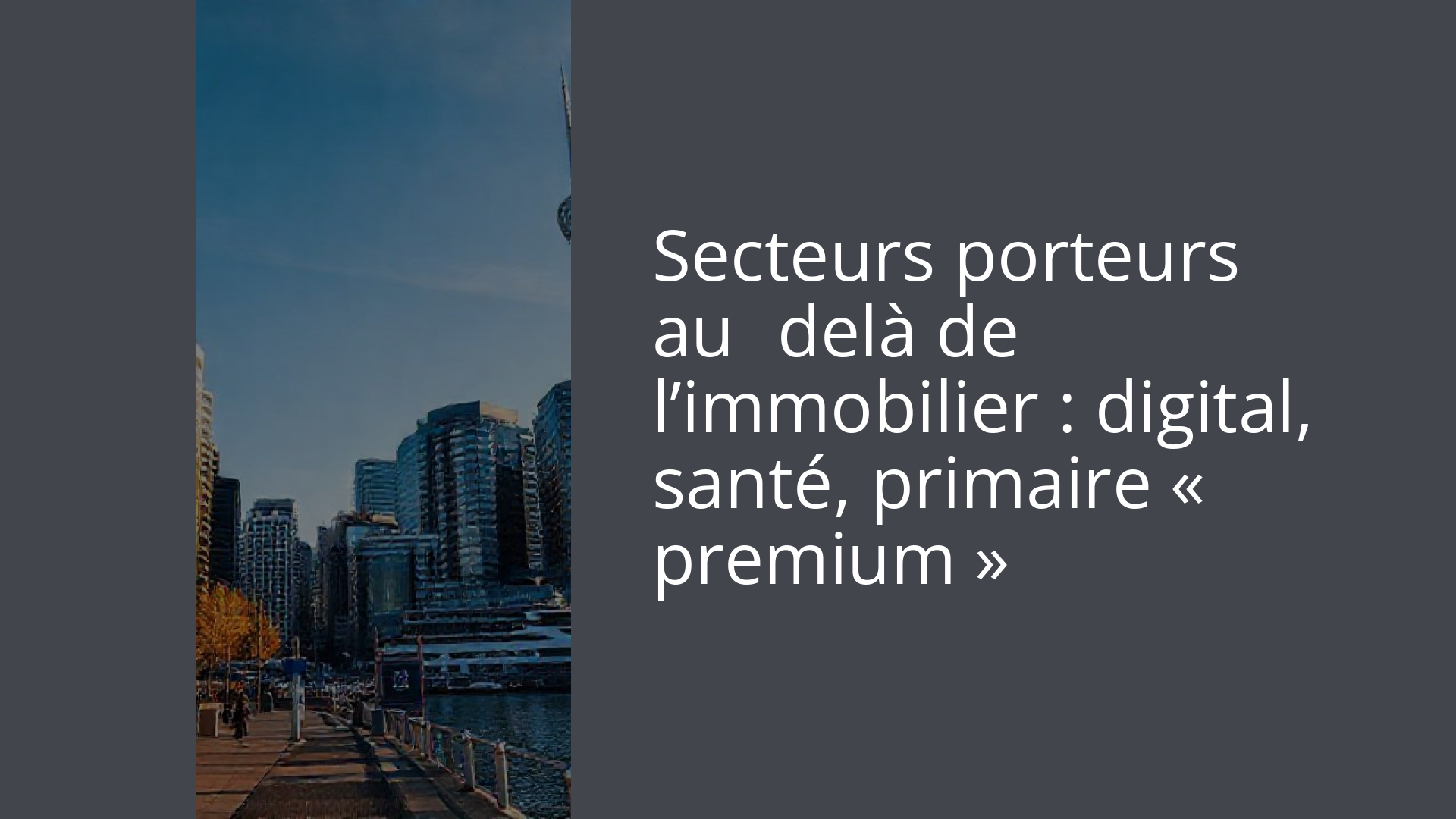Secteurs porteurs au‑delà de l’immobilier : digital, santé, primaire « premium »