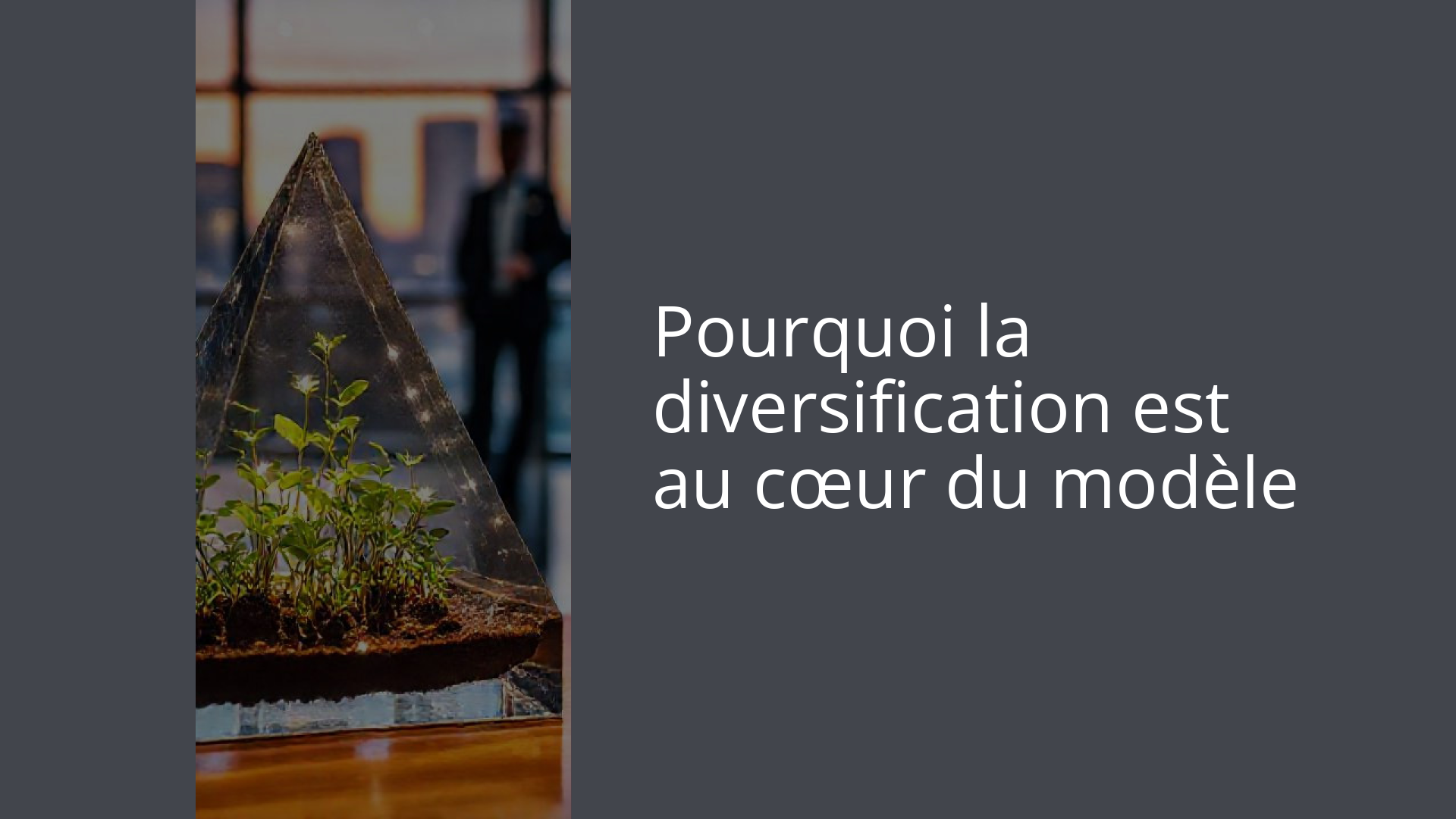 Pourquoi la diversification est au cœur du modèle