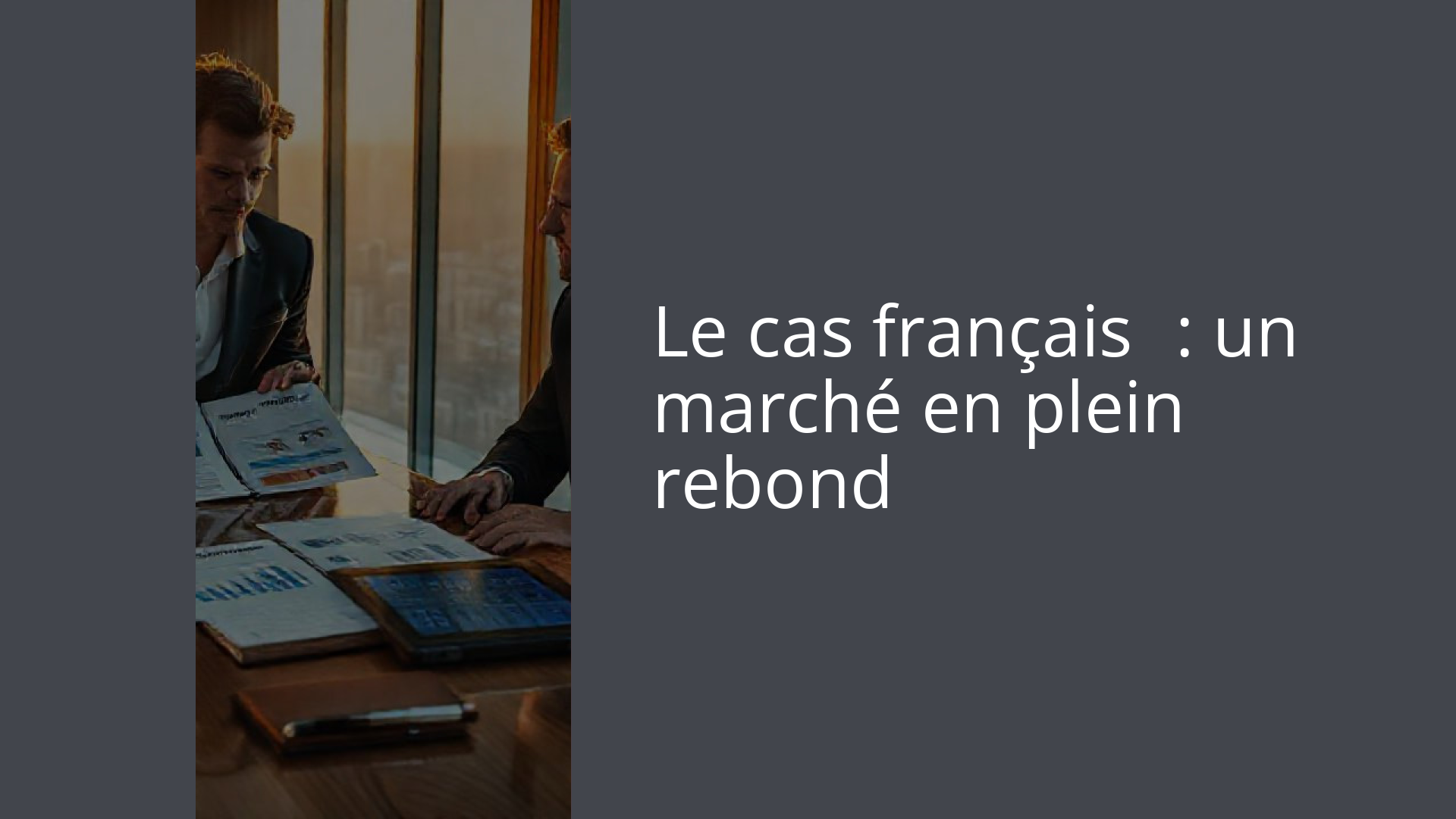 Le cas français : un marché en plein rebond