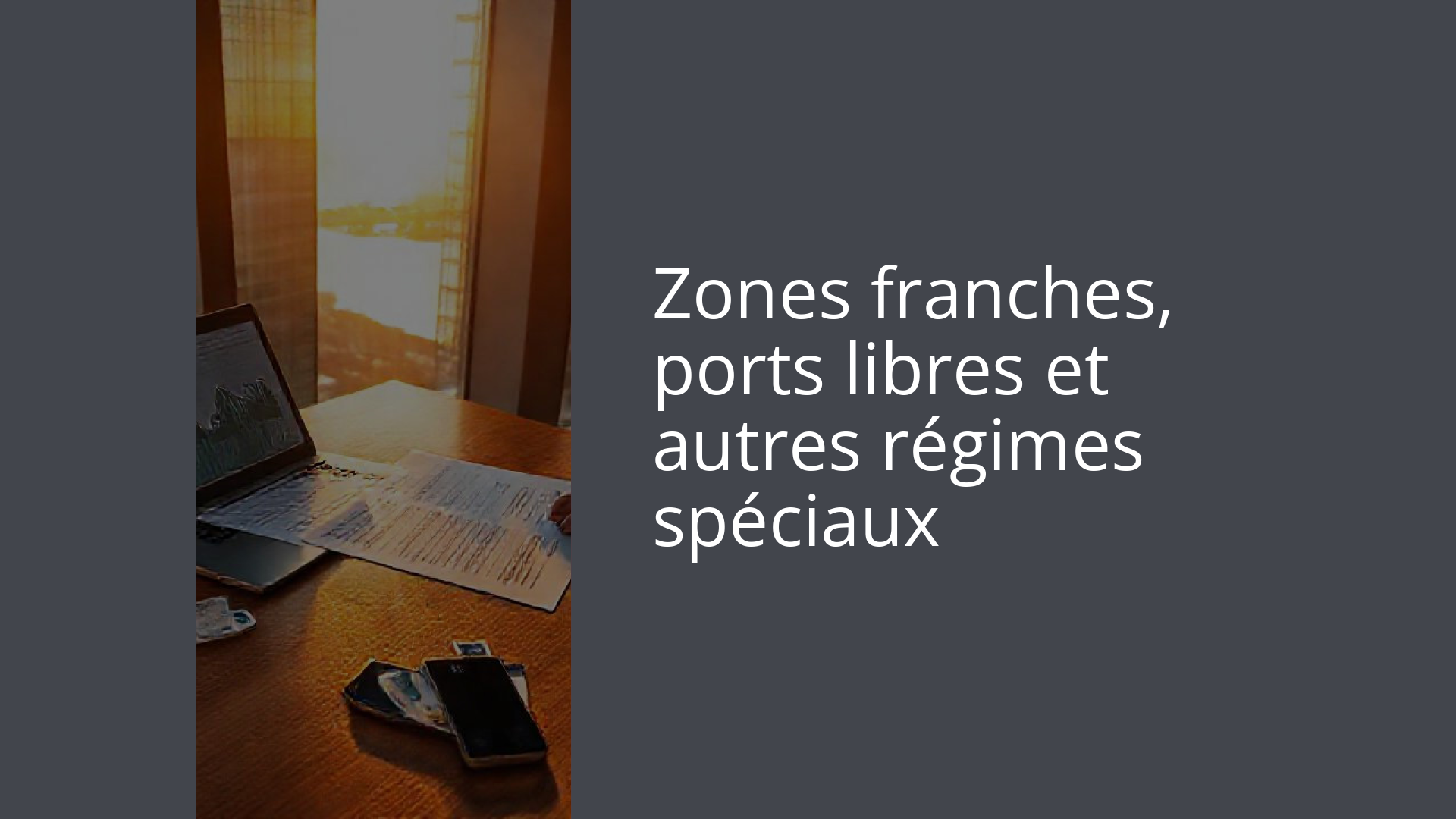 Zones franches, ports libres et autres régimes spéciaux