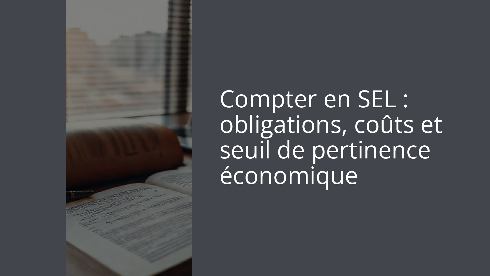 Compter en SEL : obligations, coûts et seuil de pertinence économique