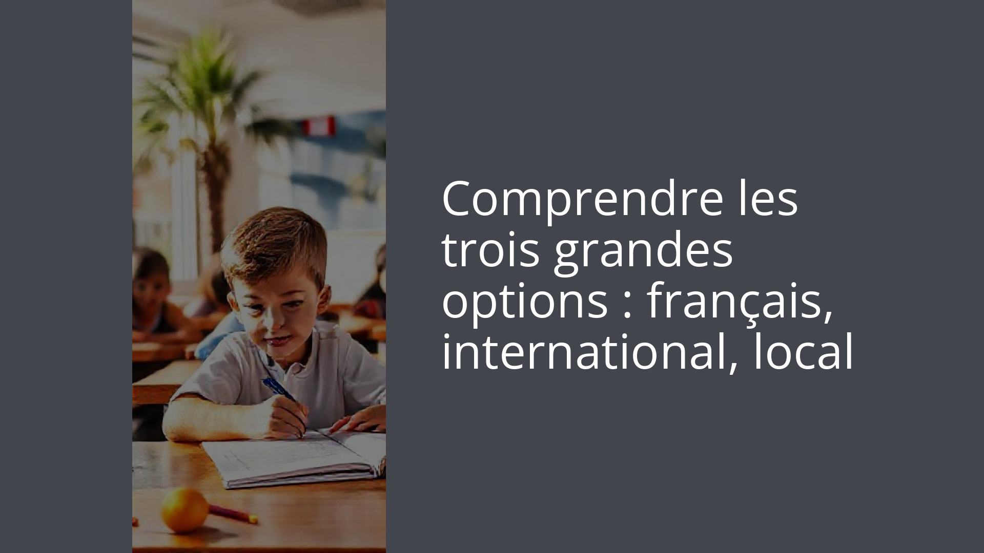 Comprendre les trois grandes options : français, international, local