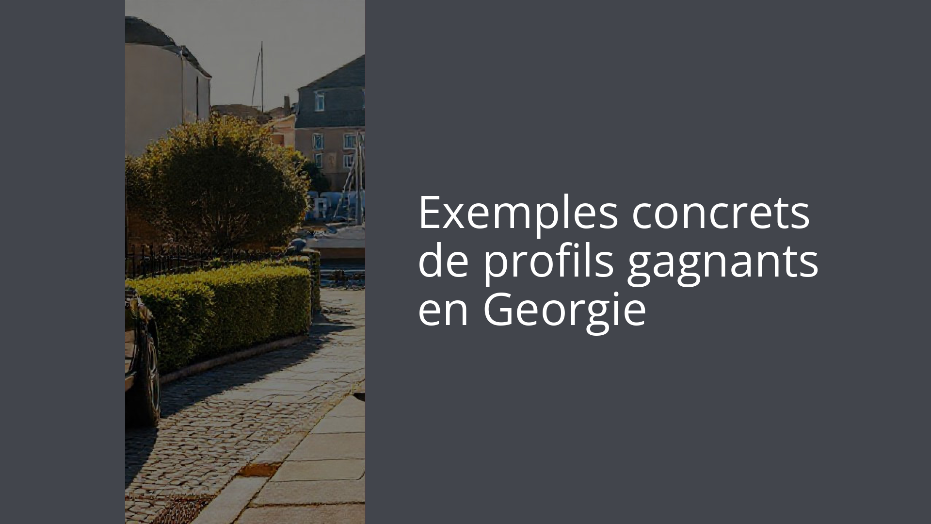 Exemples concrets de profils gagnants en Georgie