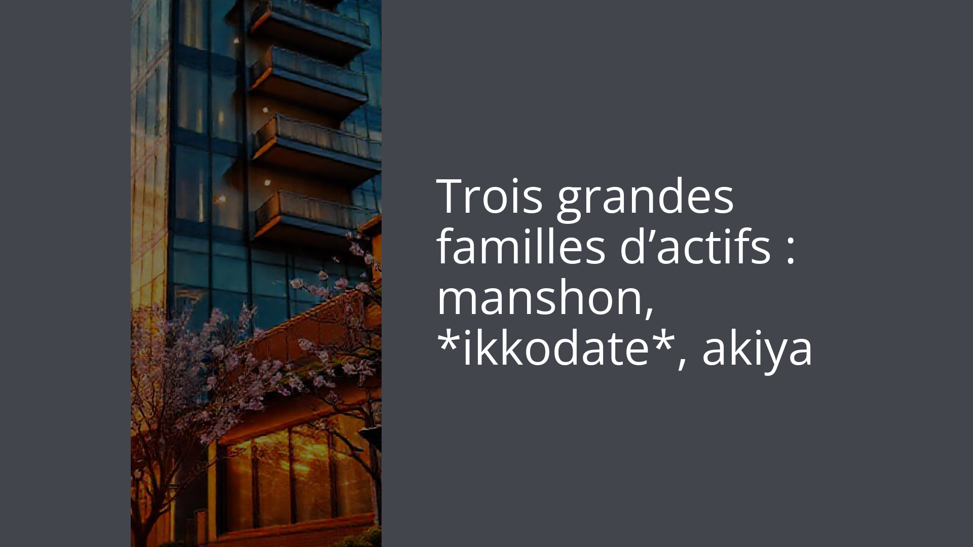 Trois grandes familles d’actifs : manshon, *ikkodate*, akiya