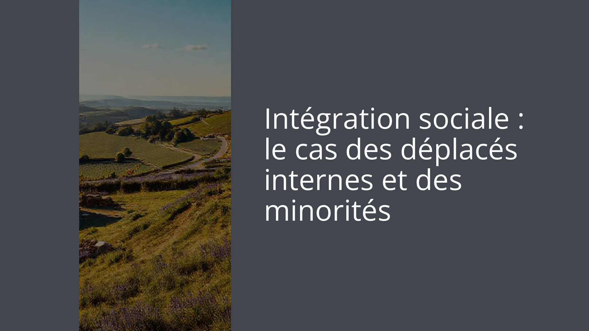 Intégration sociale : le cas des déplacés internes et des minorités