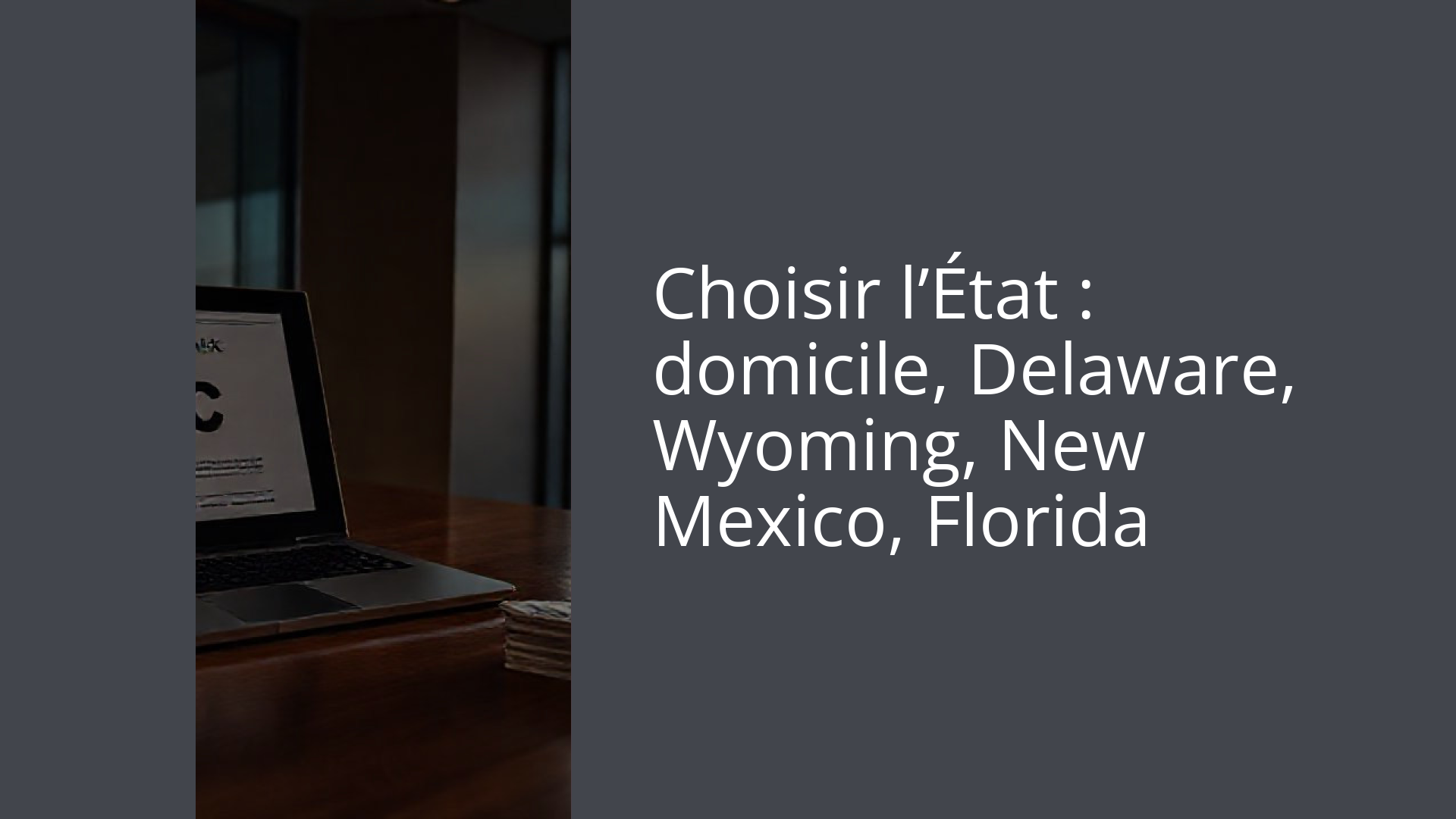 Choisir l’État : domicile, Delaware, Wyoming, New Mexico, Florida