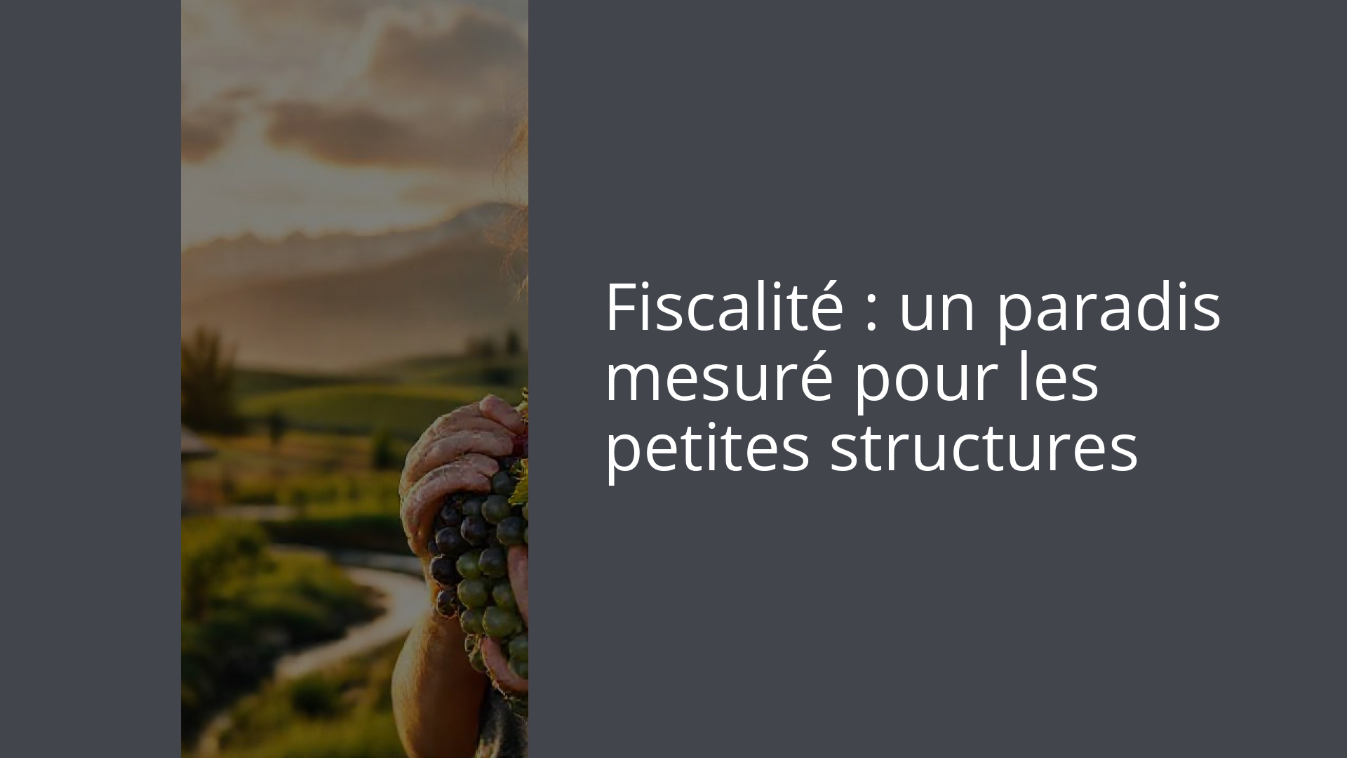 Fiscalité : un paradis mesuré pour les petites structures