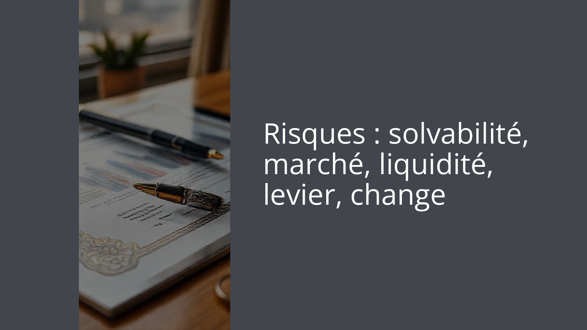 Risques : solvabilité, marché, liquidité, levier, change