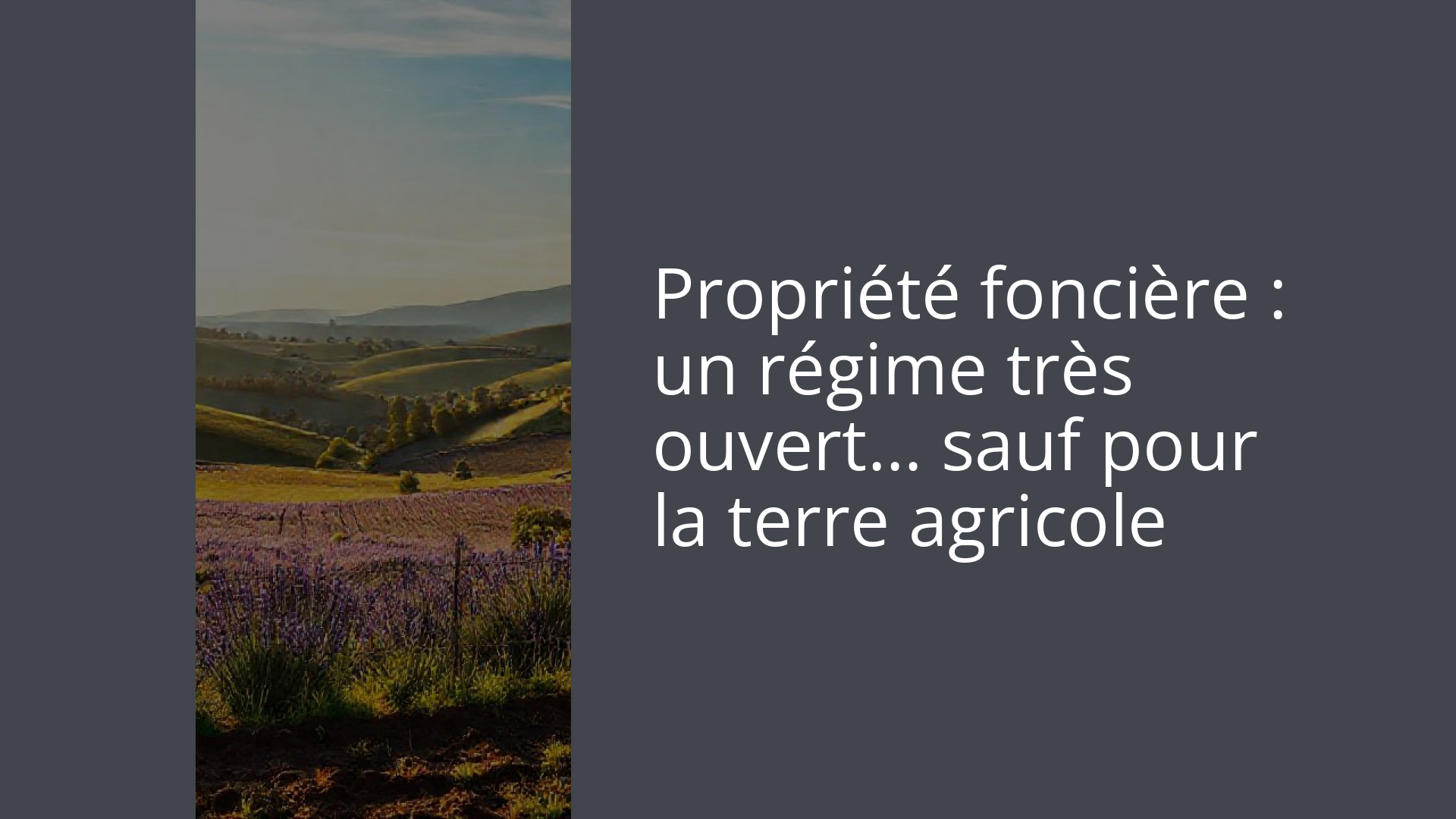 Propriété foncière : un régime très ouvert… sauf pour la terre agricole