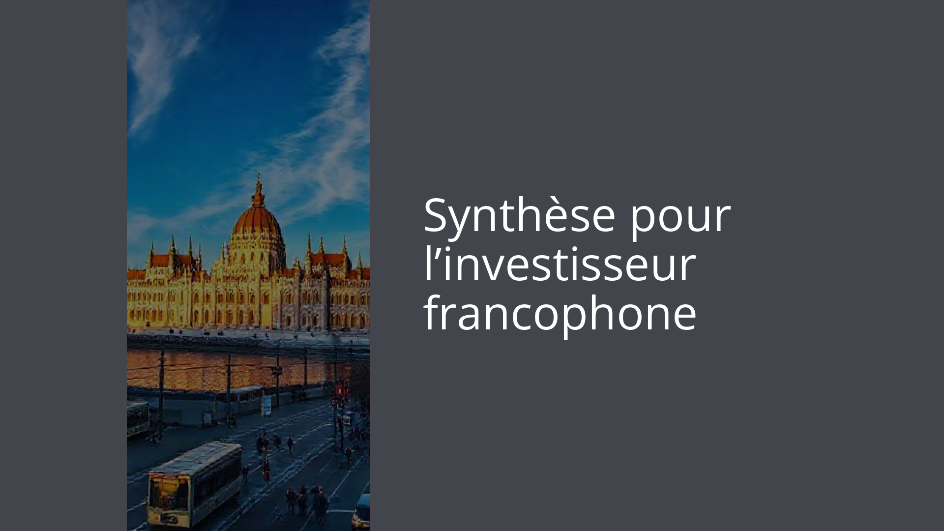 Synthèse pour l’investisseur francophone