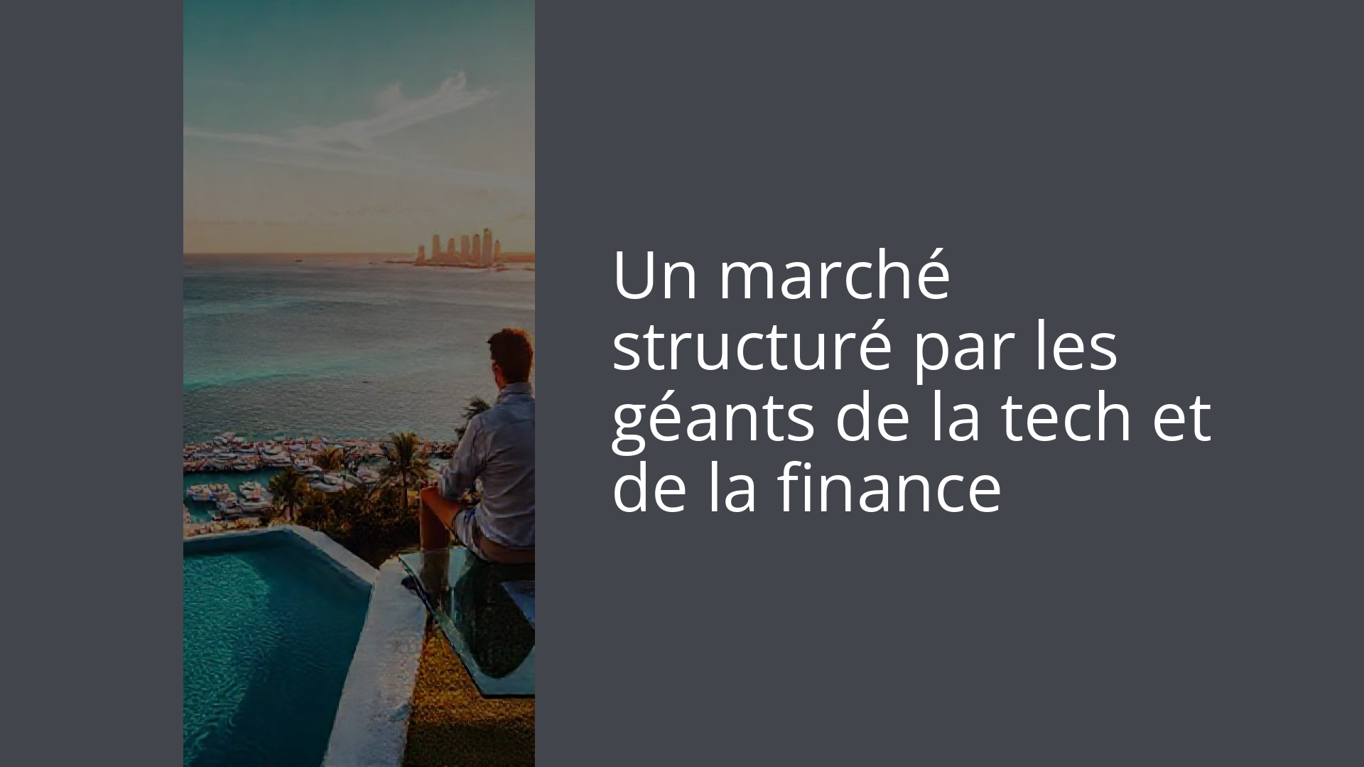 Un marché structuré par les géants de la tech et de la finance