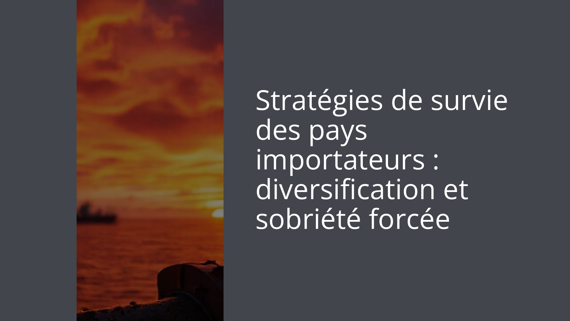 Stratégies de survie des pays importateurs : diversification et sobriété forcée