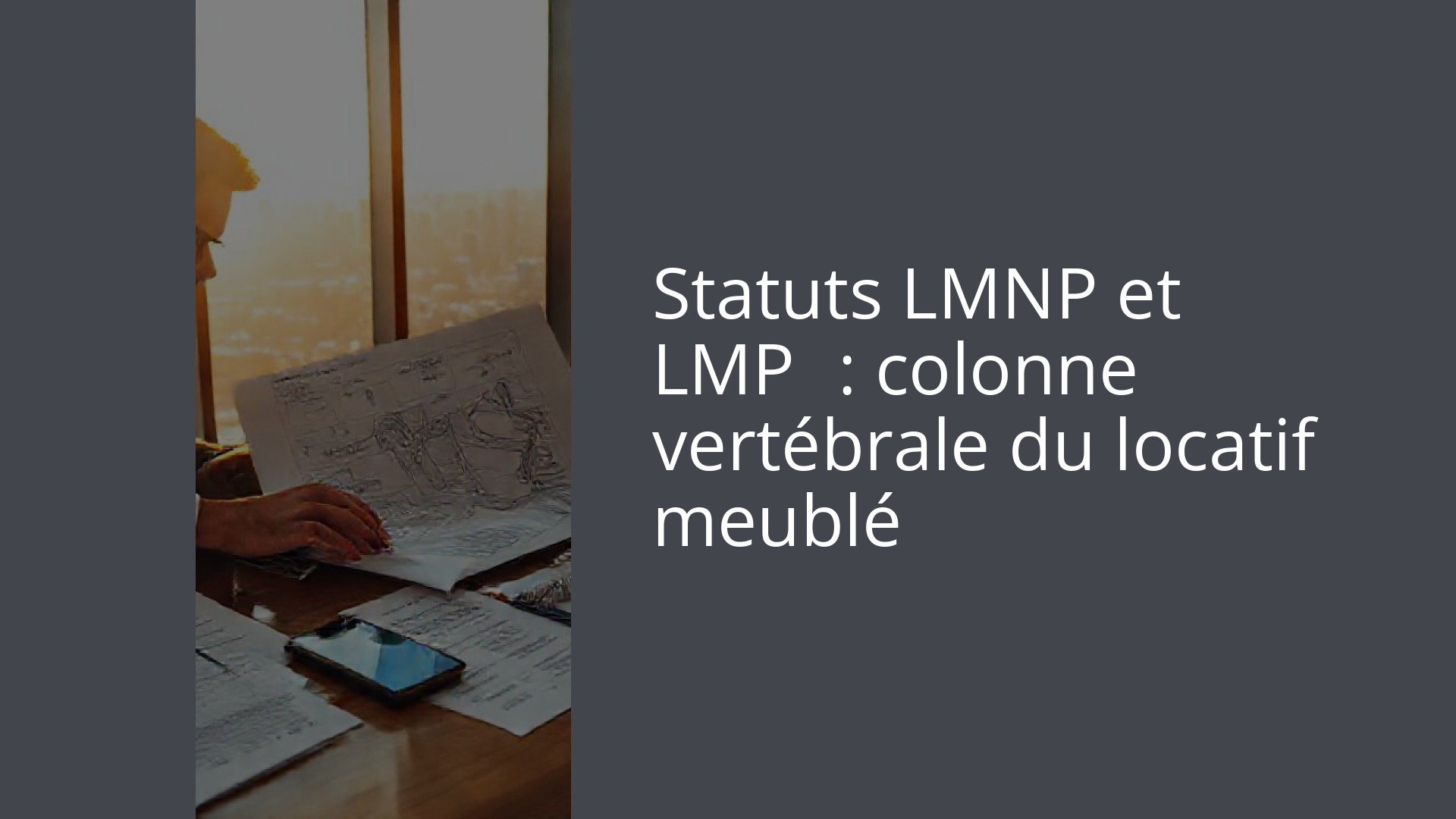 Statuts LMNP et LMP : colonne vertébrale du locatif meublé