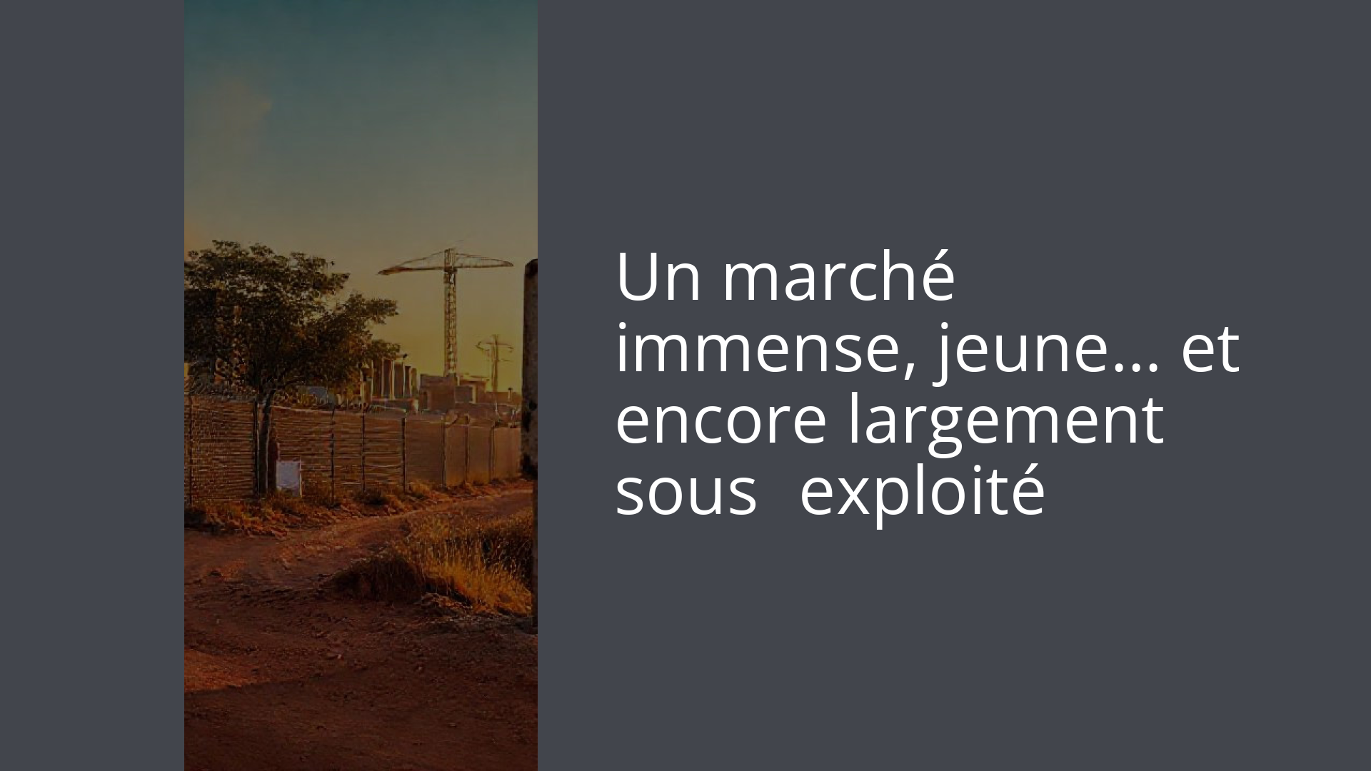 Un marché immense, jeune… et encore largement sous‑exploité