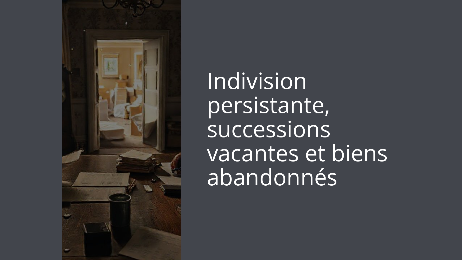 Indivision persistante, successions vacantes et biens abandonnés