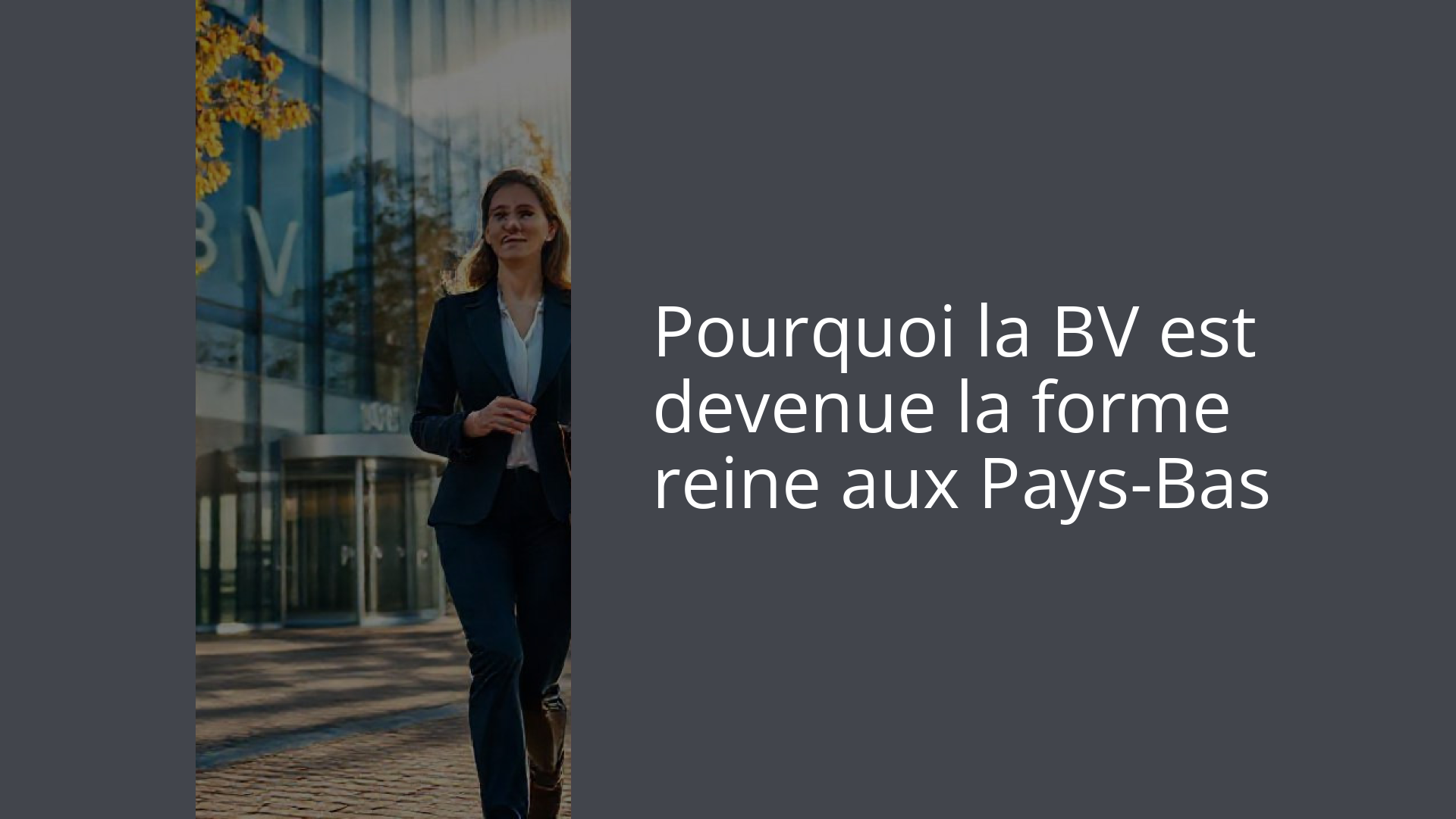 Pourquoi la BV est devenue la forme reine aux Pays-Bas