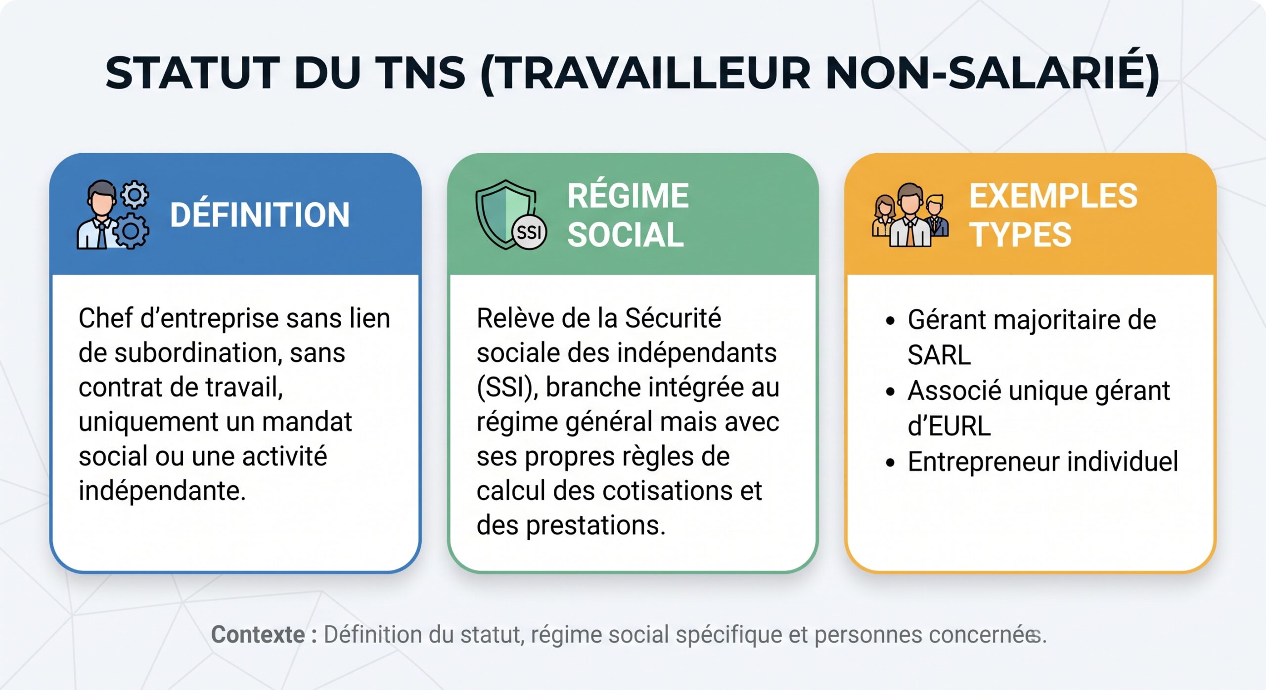 Statut du TNS (Travailleur Non-Salarié)