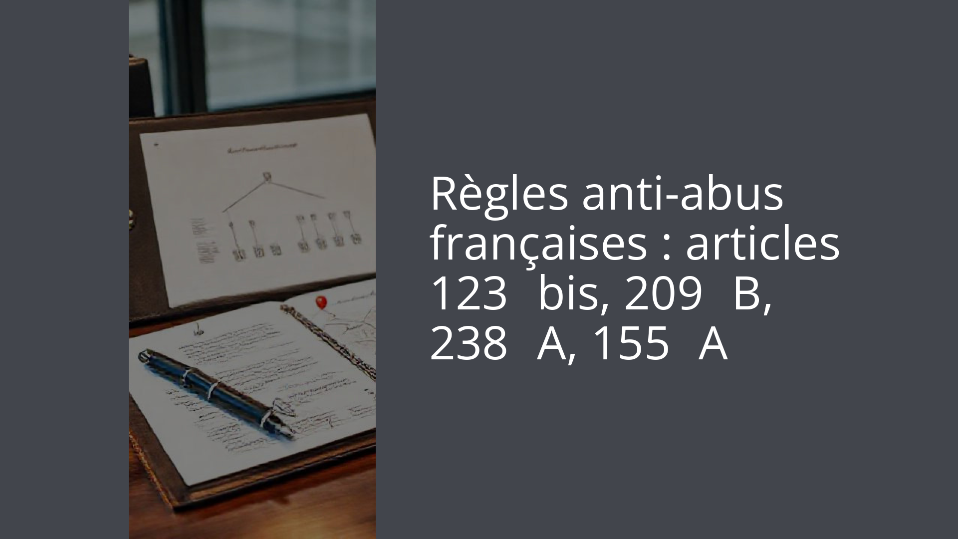 Règles anti-abus françaises : articles 123 bis, 209 B, 238 A, 155 A