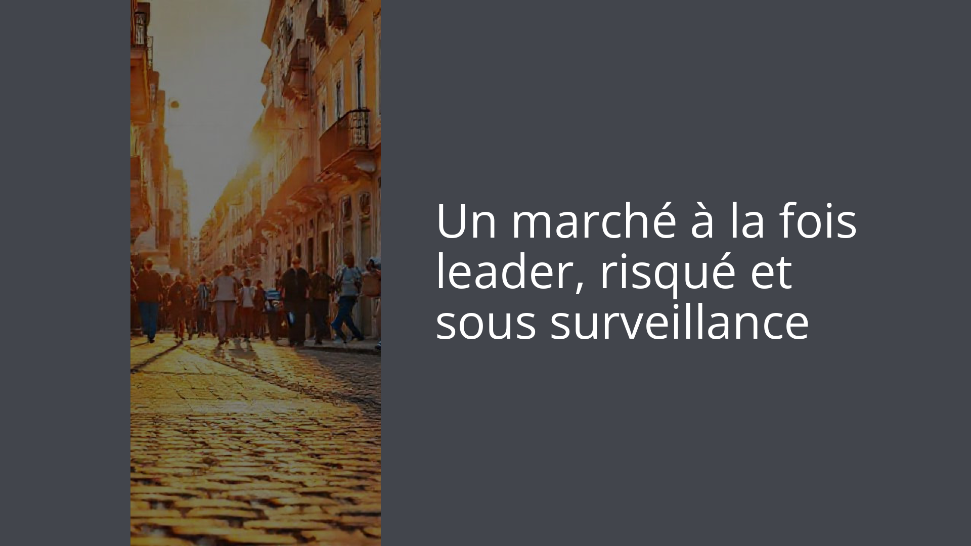 Un marché à la fois leader, risqué et sous surveillance