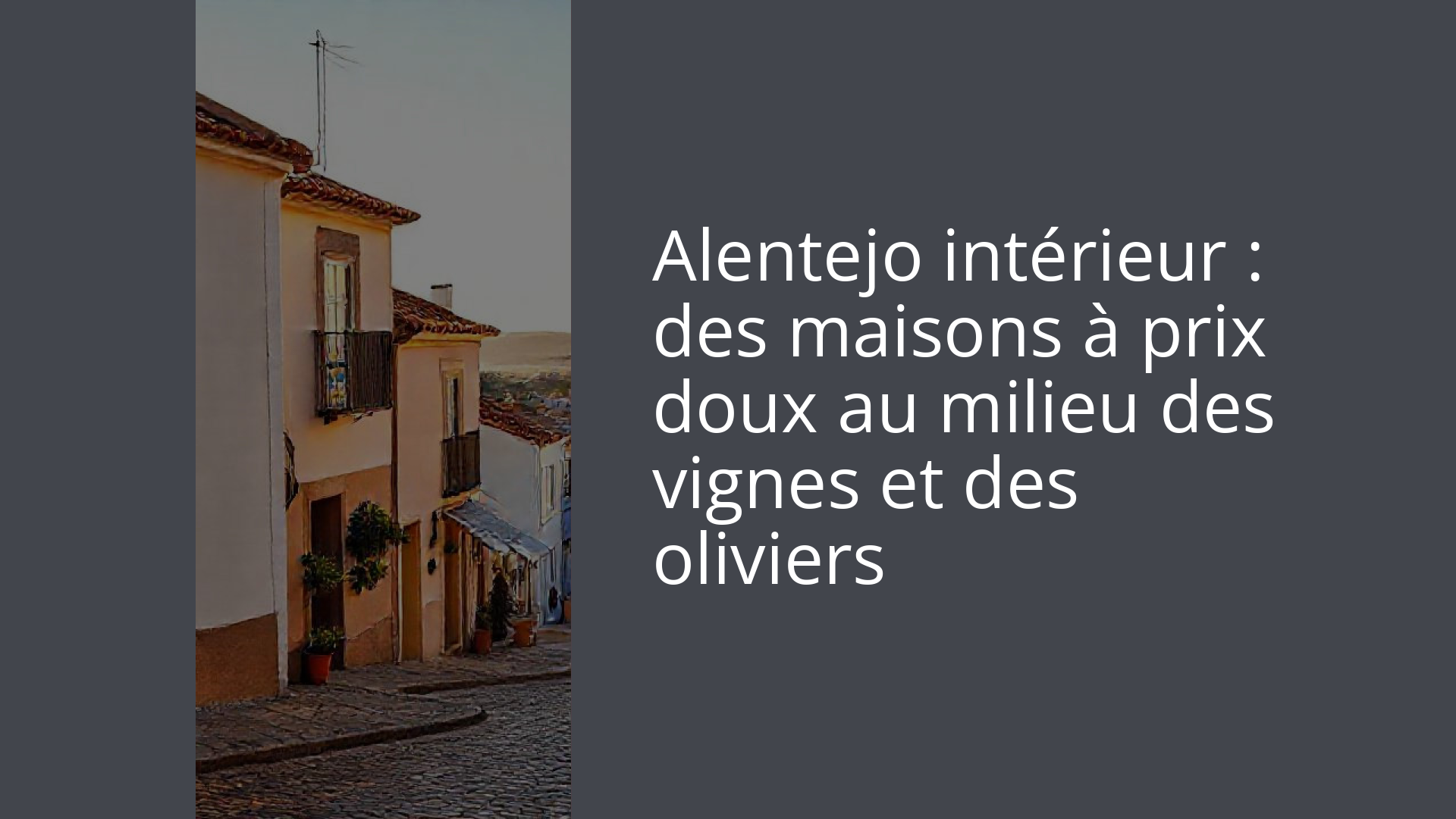 Alentejo intérieur : des maisons à prix doux au milieu des vignes et des oliviers