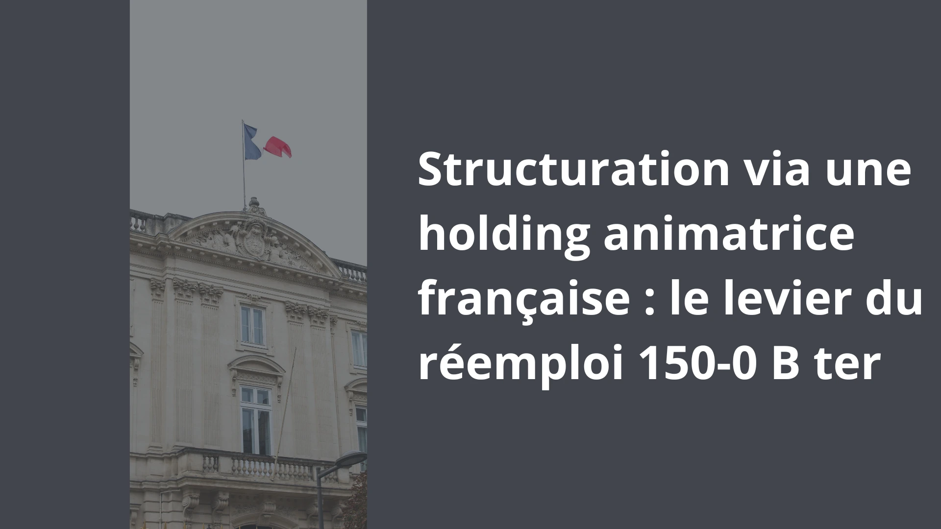 Structuration via une holding animatrice française _ le levier du réemploi 150-0 B ter