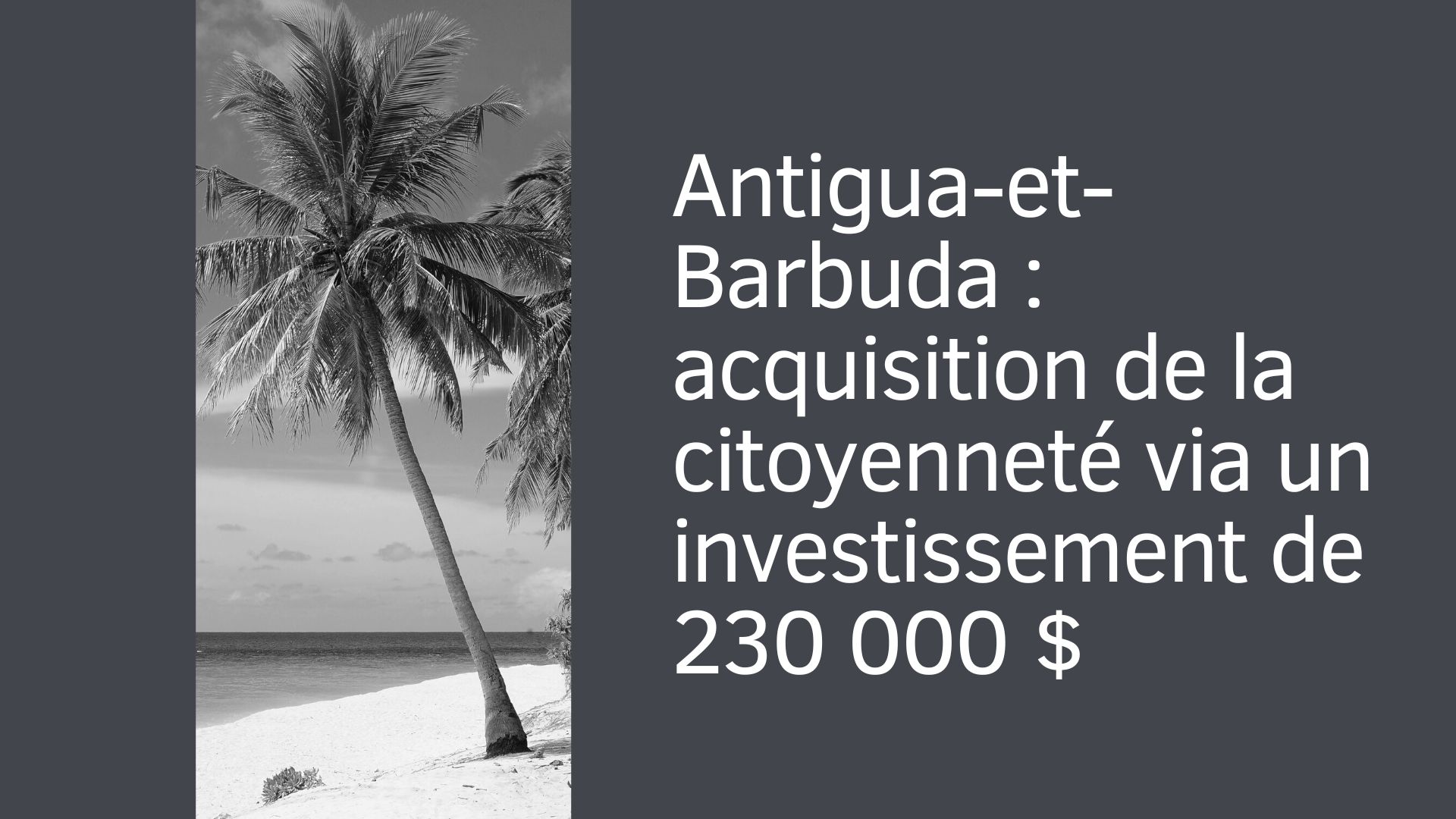 Antigua-et-Barbuda : acquisition de la citoyenneté via un investissement de 230 000 $