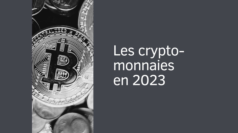 Les crypto-monnaies en 2023