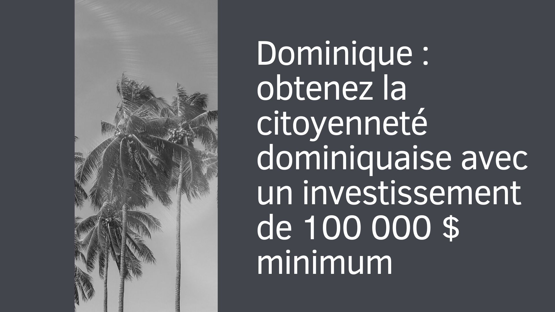 Dominique : obtenez la citoyenneté dominiquaise avec un investissement de 100 000 $ minimum