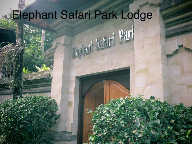 hotel elephant safari park lodge
