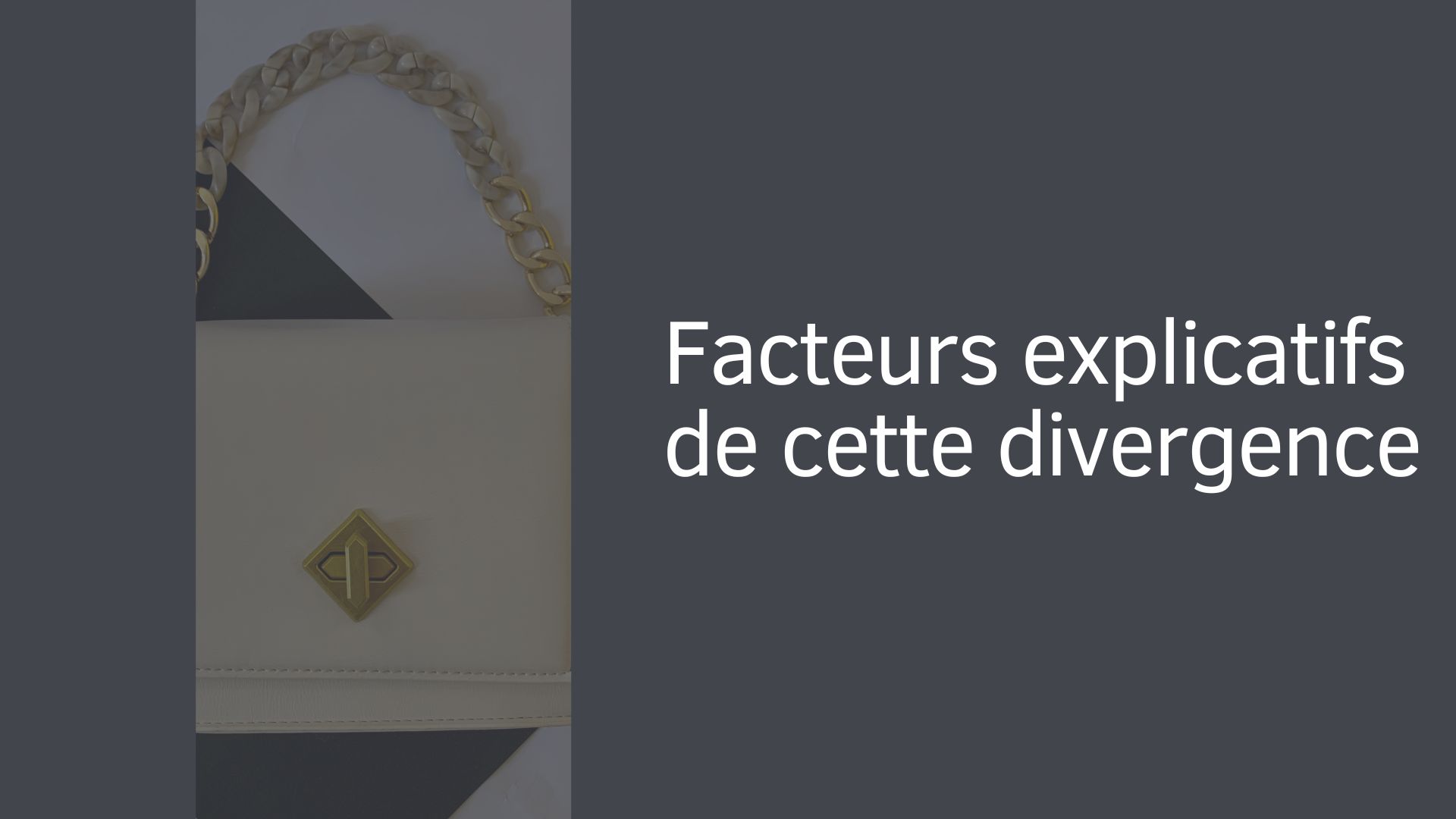 Facteurs explicatifs de cette divergence Facteurs explicatifs de cette divergence