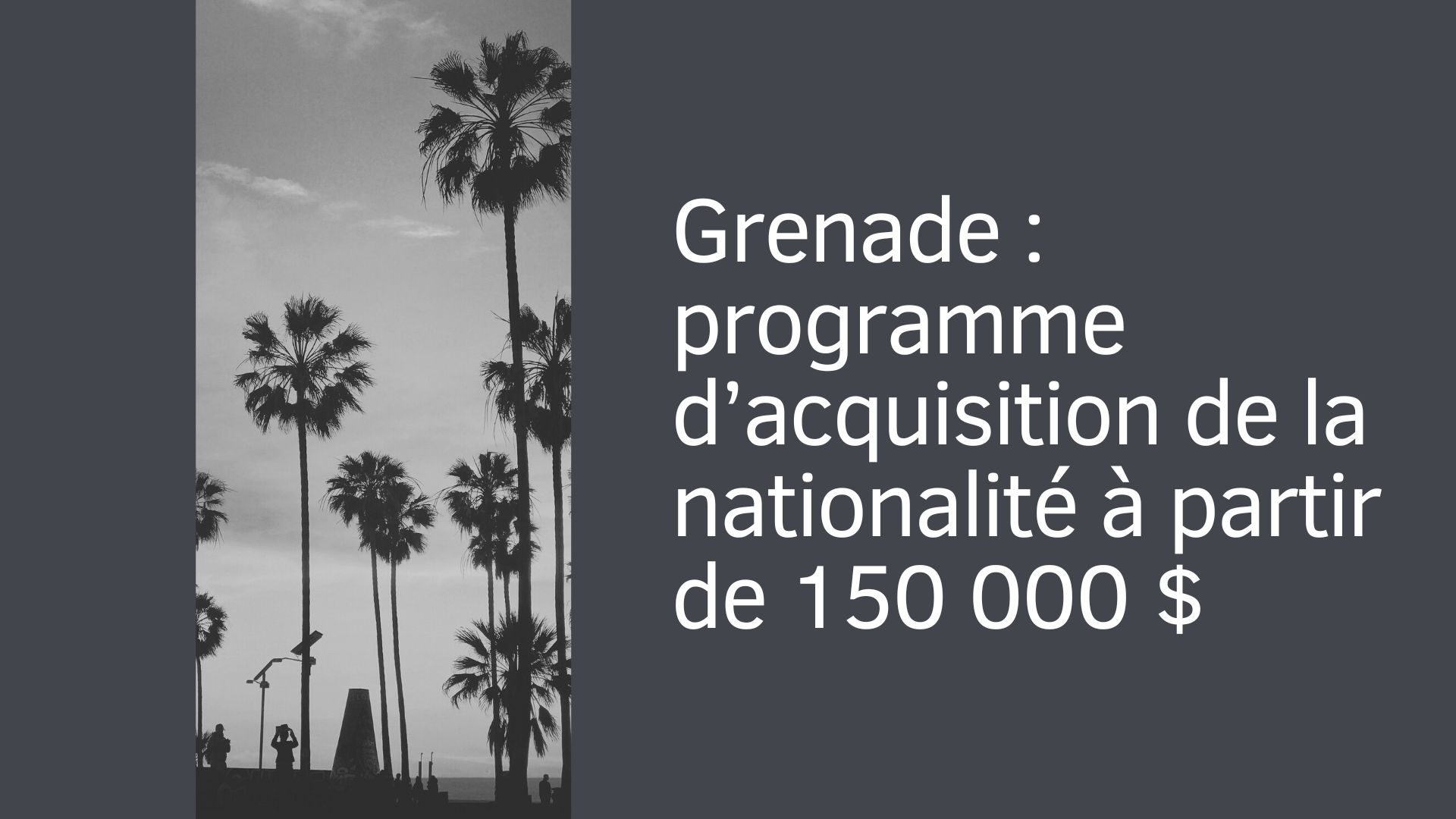 Grenade : programme d’acquisition de la nationalité à partir de 150 000 $