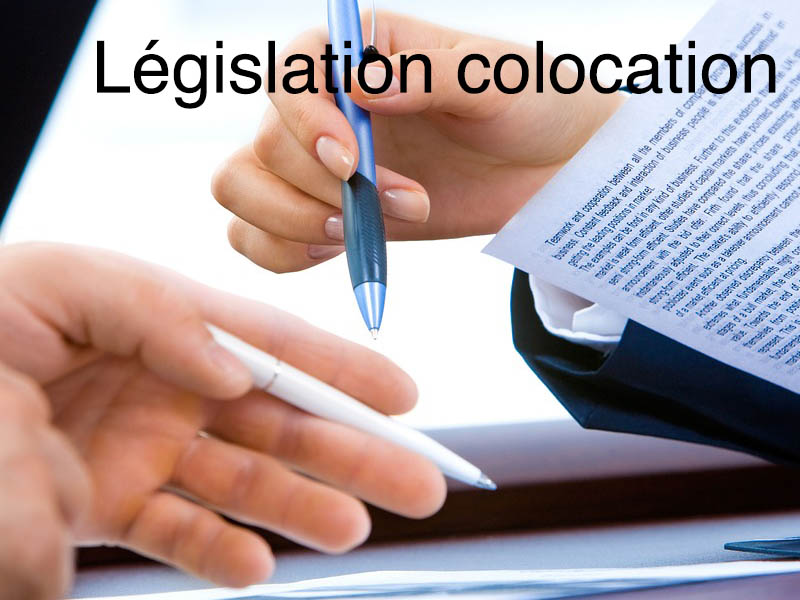 législation colocation