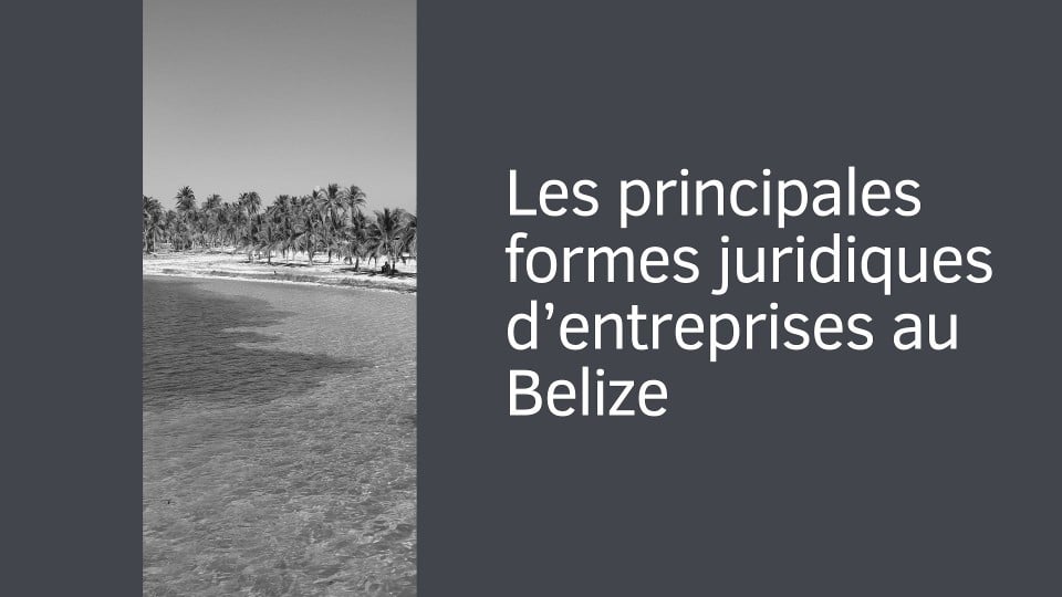 Les principales formes juridiques au Belize