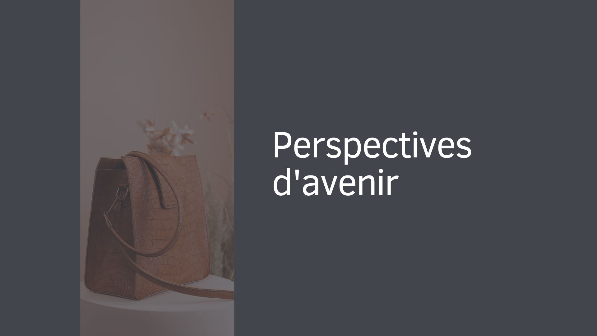 Perspectives d'avenir Perspectives d'avenir