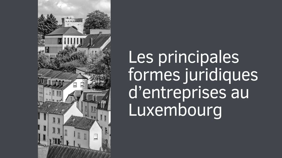 Les principales formes juridiques d’entreprises au Luxembourg