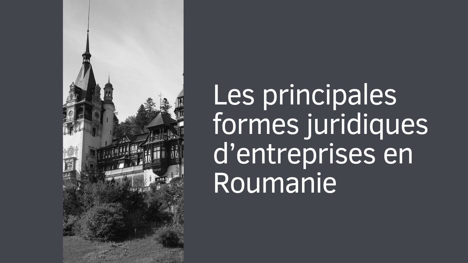 Les principales formes juridiques d’entreprises en Roumanie